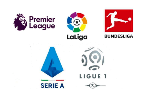 正是揭示了 正是揭示了